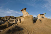 tkf001_561138