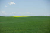 tkf001_561146