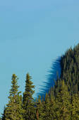 tkf001_561222