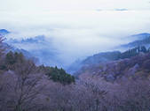 tkf001_561298