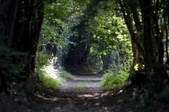 tkf001_648218