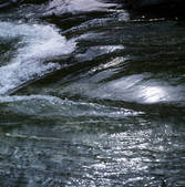 tkf001_649331