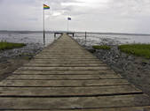 tkf001_649608