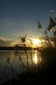 tkf001_650098