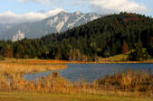 tkf001_650391