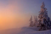 tkf001_650413