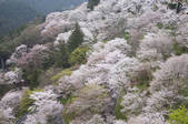 tkf003_102032