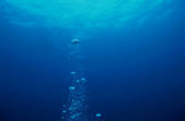 tkf003_104896