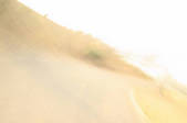 tkf003_109509