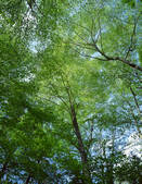 tkf003_109679