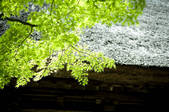 tkf003_109836