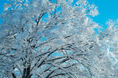 tkf003_112180