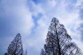 tkf003_112949