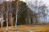 tkf003_113955
