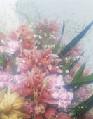 tkf003_115280