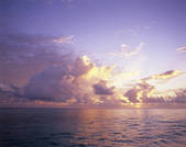 tkf003_117338