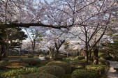 tkf003_118600