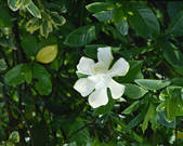tkf003_119405