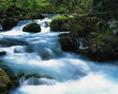tkf003_121145