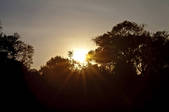 tkf003_122403