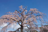 tkf003_122410