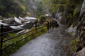 tkf003_129379