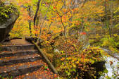tkf003_130734