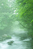 tkf003_131632