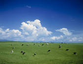 tkf003_132131