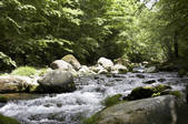tkf003_132961