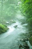 tkf003_135580