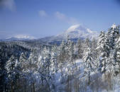 tkf003_136900