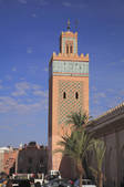 tkf003_138005
