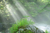 tkf003_138254