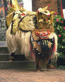 tkf003_139493