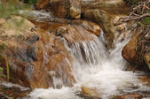 tkf001_673433