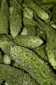 tkf001_682035