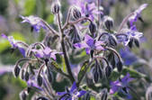 tkf001_720114