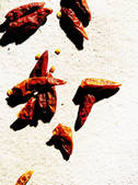 tkf001_724742