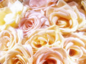 tkf001_730523