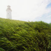 tkf001_902194