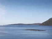tkf001_907360