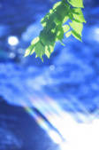 tkf003_140169
