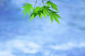 tkf003_140450