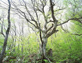 tkf003_140942