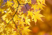 tkf003_141542