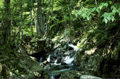 tkf003_146891