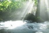 tkf003_147012