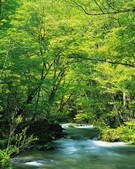 tkf003_147632