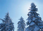 tkf003_150187